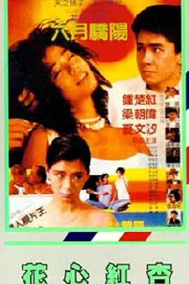 timi1tv天美传媒app在线观看